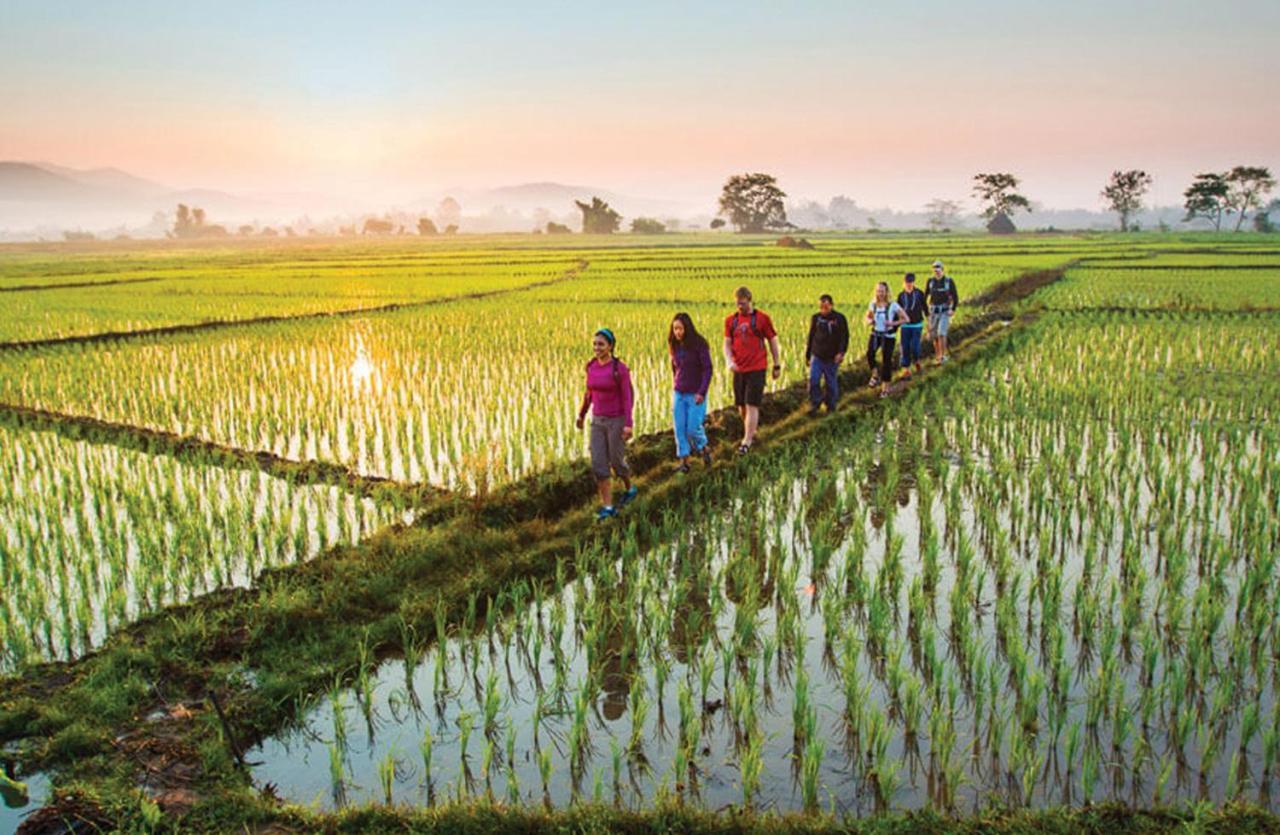 אובוד Goya Boutique Resort מראה חיצוני תמונה Rice fields in Vietnam